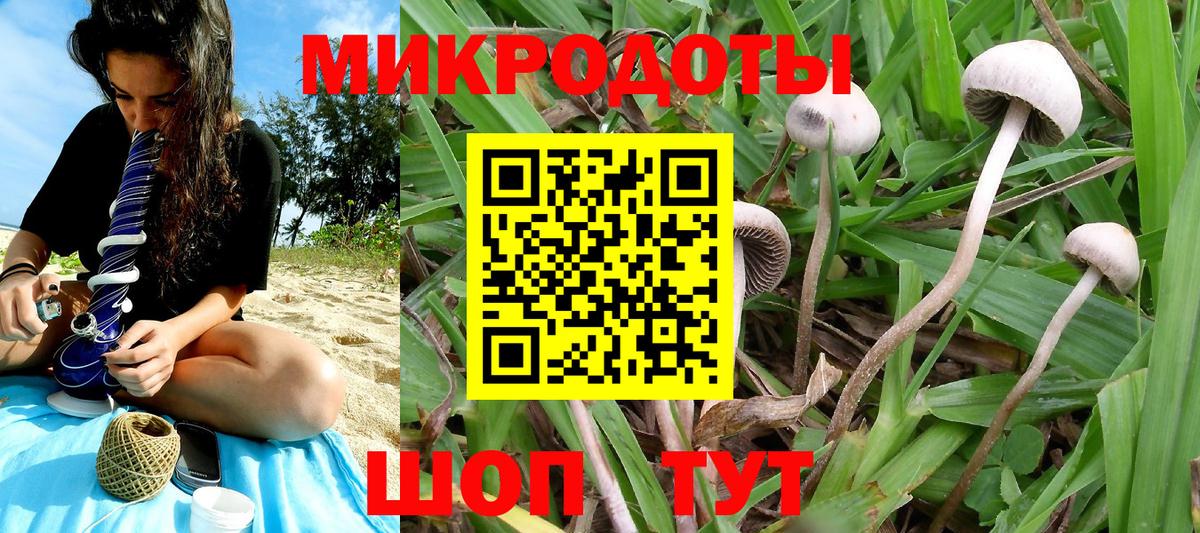 Псилоцибиновые грибы Magic Shrooms  Вход с VPN  Ростов-на-Дону 
