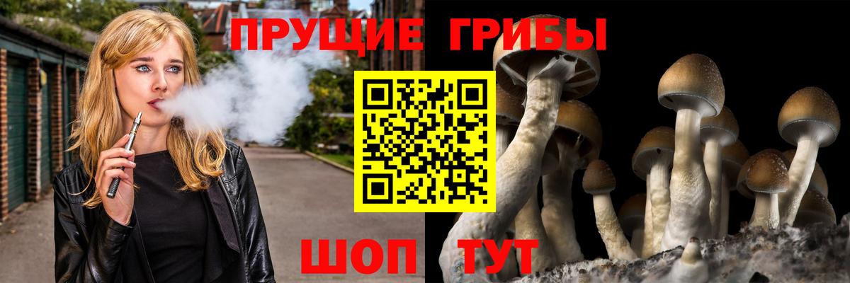 Галлюциногенные грибы MAGIC MUSHROOMS Ростов-на-Дону